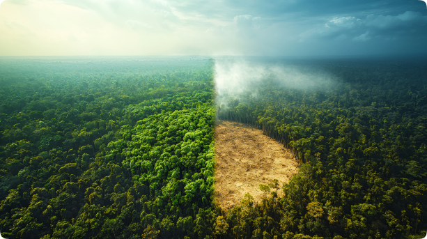 Climate Adaptation And Resilience – The Next Frontier For Blended Finance