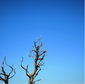 Climate Adaptation And Resilience – The Next Frontier For Blended Finance