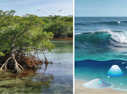 Sparking the Trillion Dollar opportunity in CDR – A Primer for Climate Tech investors