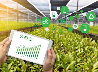 Sustainability Reporting Practices Study of Nifty 500 Companies