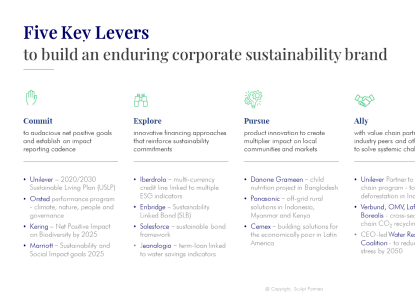 Building an authentic sustainability-centric corporate brand – best practices and implementation guide
